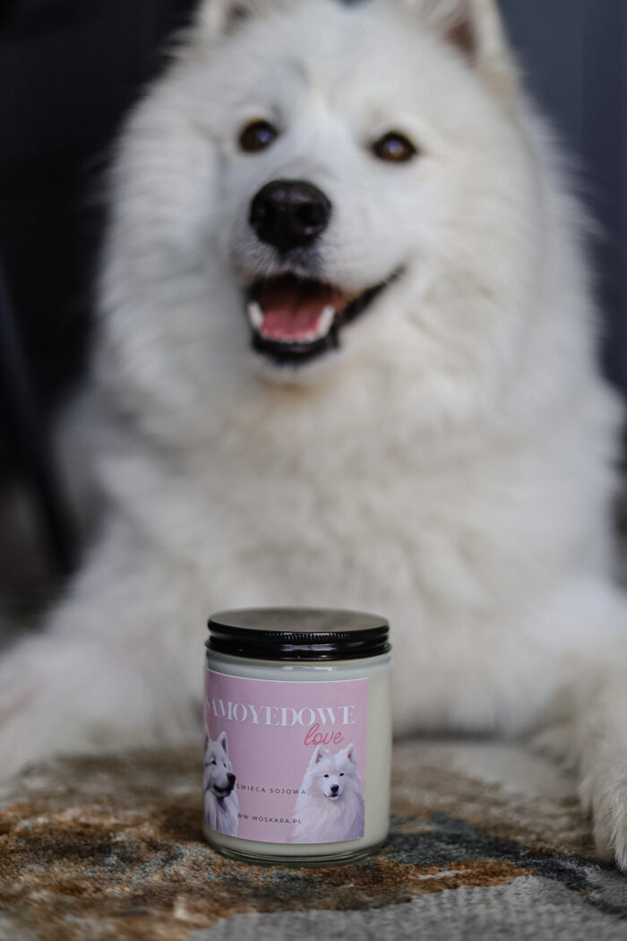 SamoyedkoweLove - obrazek 3