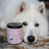 SamoyedkoweLove - obrazek 2