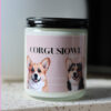 CorgusioweLove