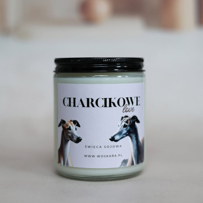 CharcikoweLove