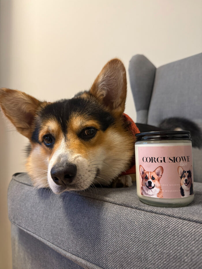 CorgusioweLove - obrazek 2