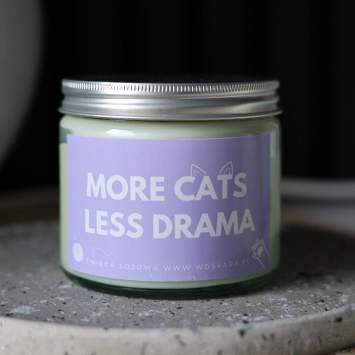 MORE CATS LESS DRAMA