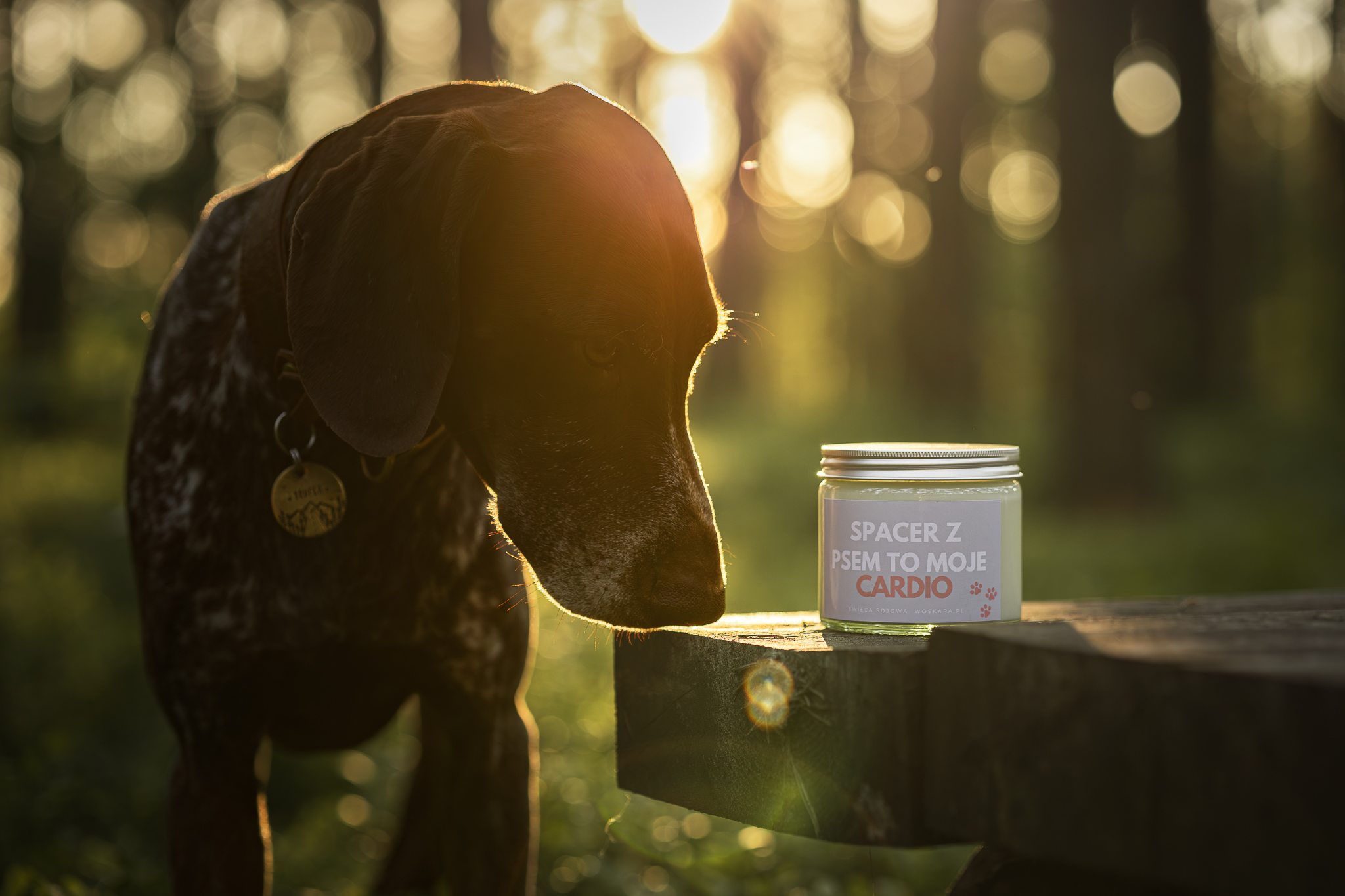 SPACER Z PSEM TO MOJE CARDIO - obrazek 2