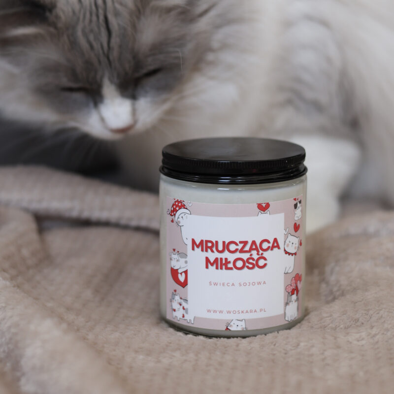 Mrucząca Miłość - Walentynkowa Kolekcja Limitowana